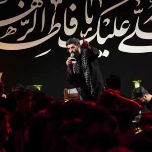 زهرا دل زده به دریای علی