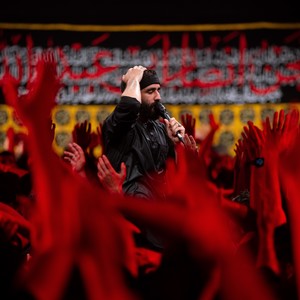 العجل مولا  العجل مولا 