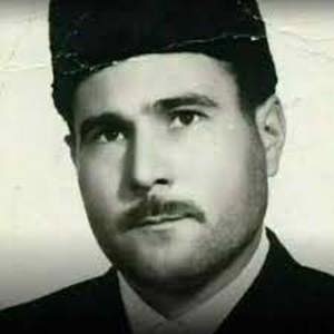 ماه ملک منظره باخ