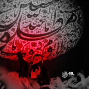 امشبی را شه دین در حرمش مهمان است
