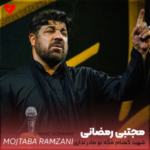 بر دل میدان بزن با ذکر یا زهرا 