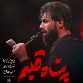 	 نماهنگ |  پناه قلبم