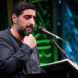 امام رضا مددی