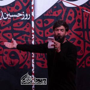 دیدم خوابت رو از بس غصه خوردم کربلا