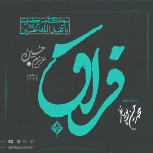 نائب الزیاره